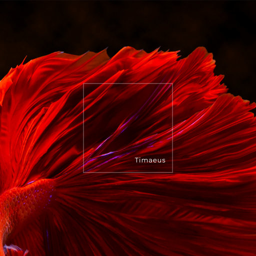 我是小小魅魔的仆人第1集
